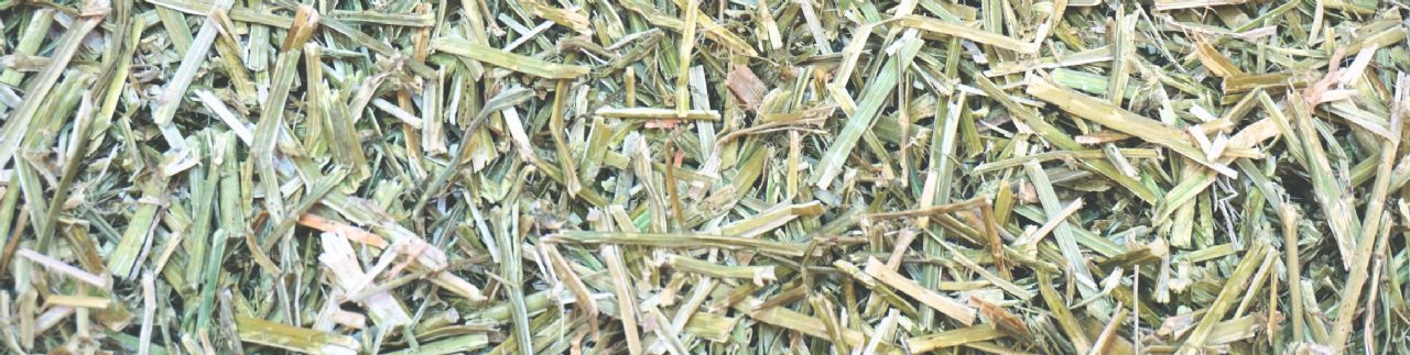 Hay replacers for horses