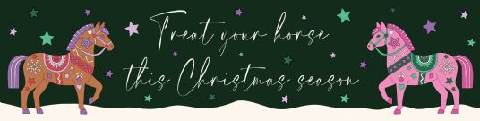 Horse Feed | Christmas Treats for Horses